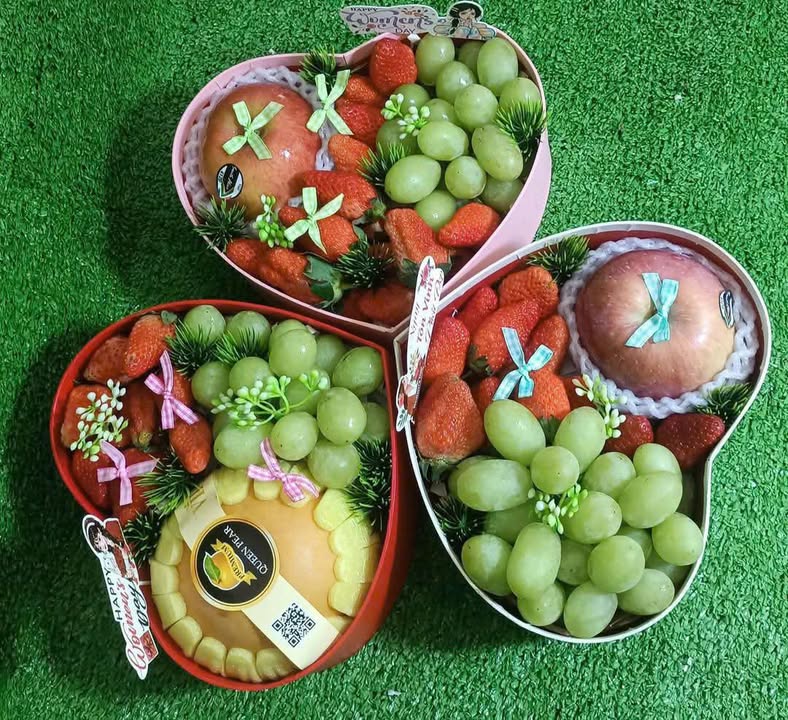 Bộ Hộp Tim Phù Hợp Đựng Những Gì