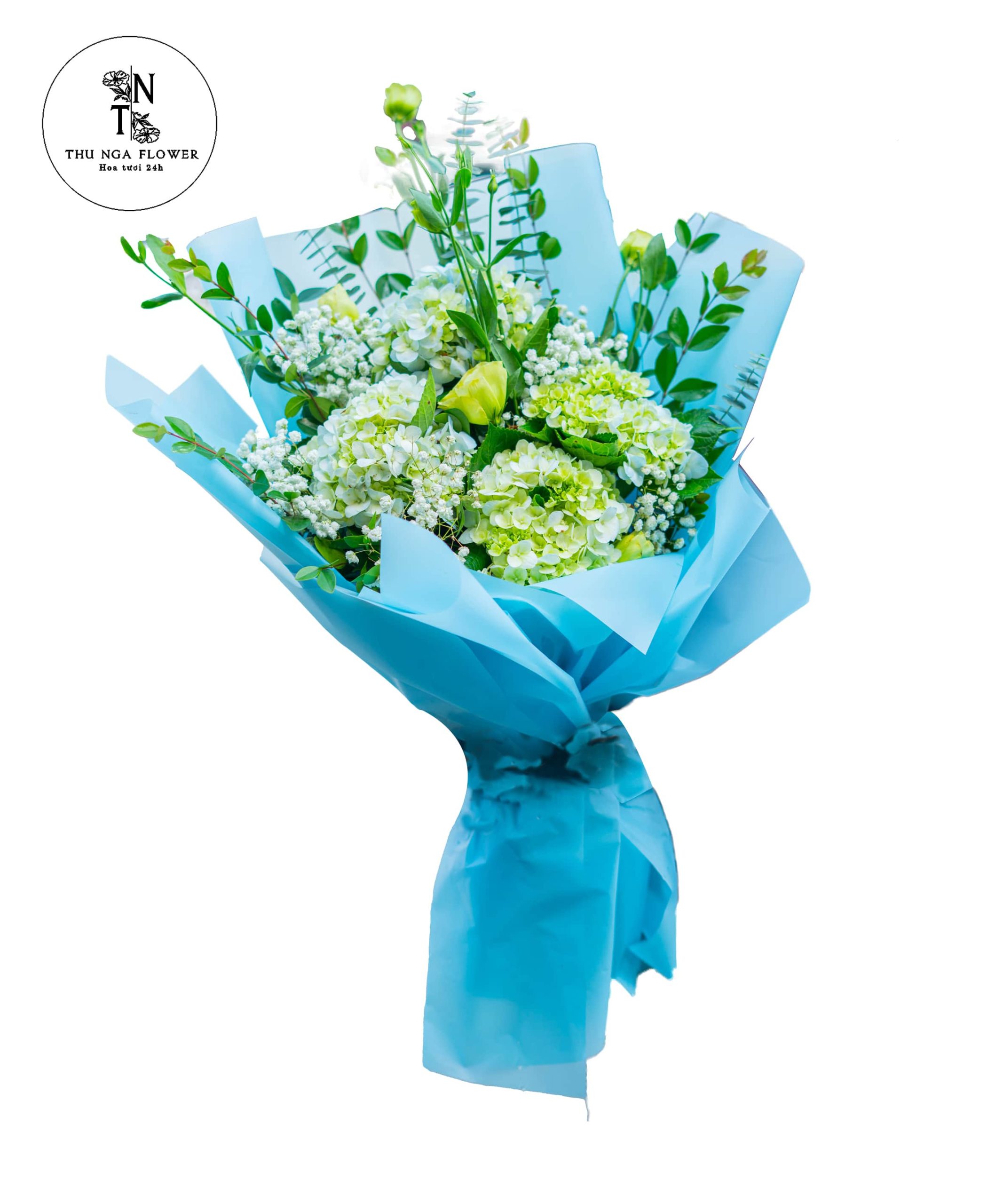 Hoa cẩm tú cầu