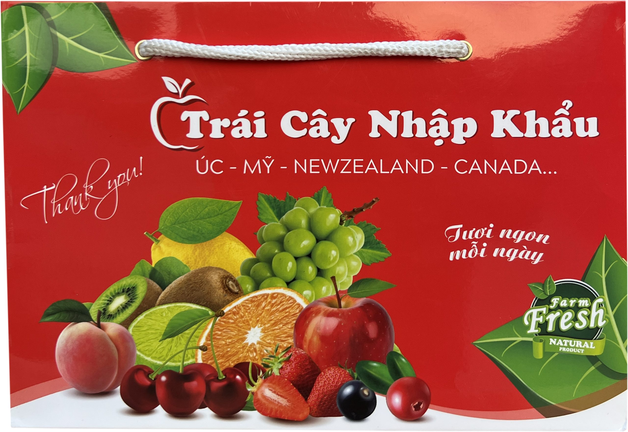 Các Màu Túi Giấy Được Ưa Chuộng