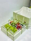 Bộ Hộp Túi Vuông Special Gift Đựng Hoa Quả